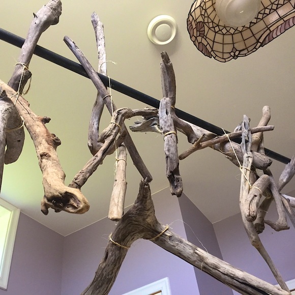 Sunbaked Driftwood 2 LBS 100% Organic + Beach Foraged Made By Mother Nature - Picture 4 of 11